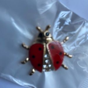Ladybug pin